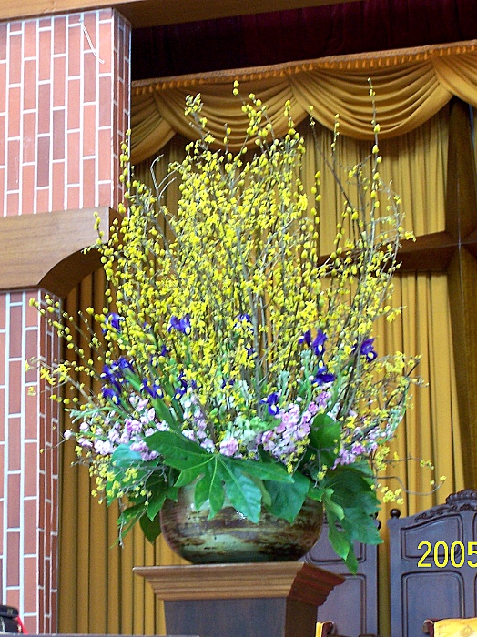꽃100_4873.jpg